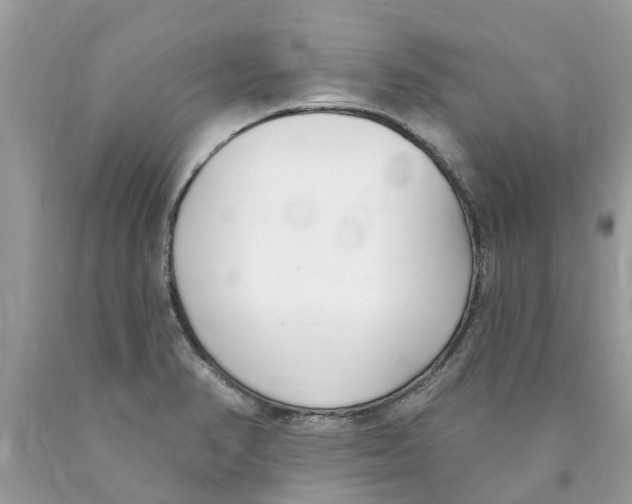 X0000089901374200707262242