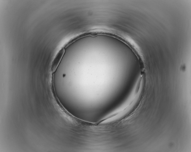 X0000089901376200707262242