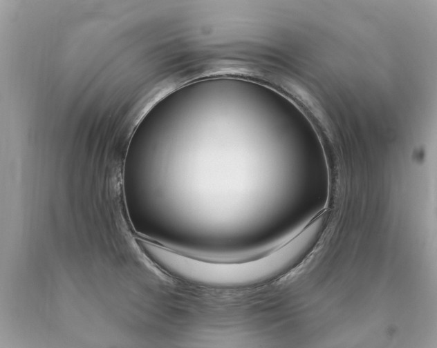 X0000089901377200707262242