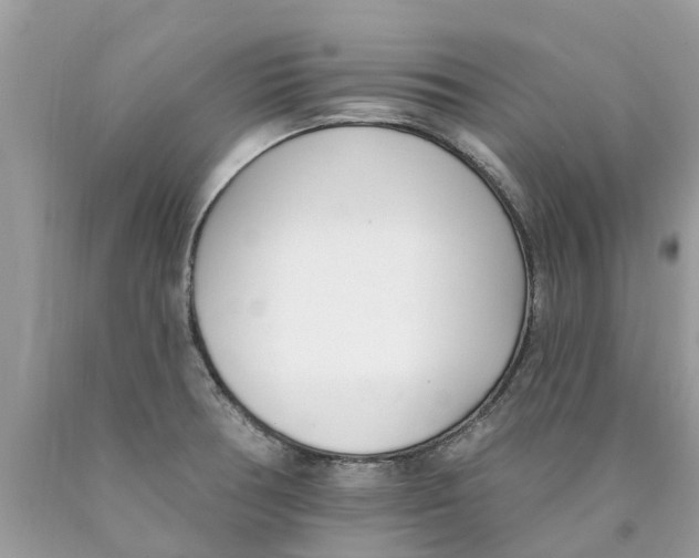 X0000089901378200707262242