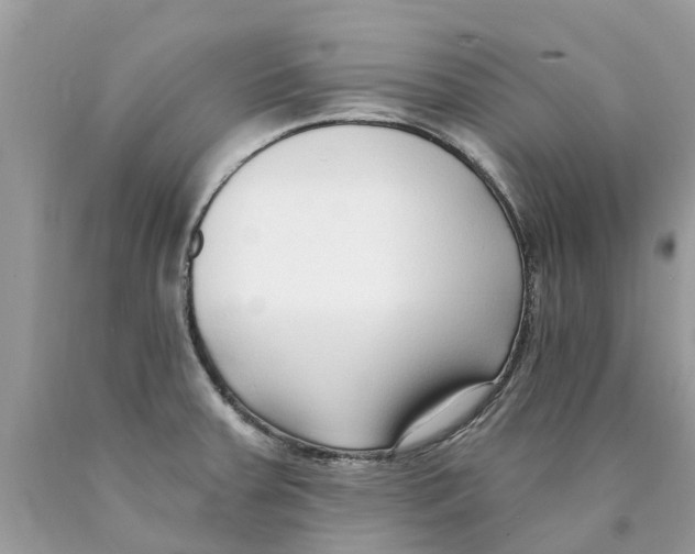 X0000089901379200707262242