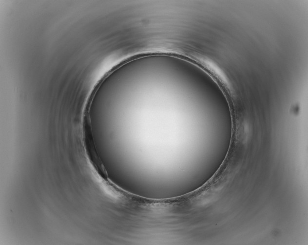 X0000089901380200707262242
