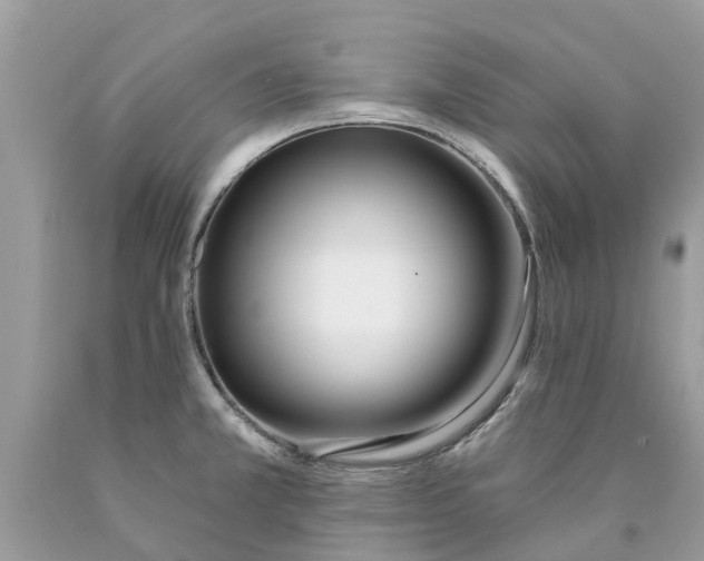 X0000089901381200707262242