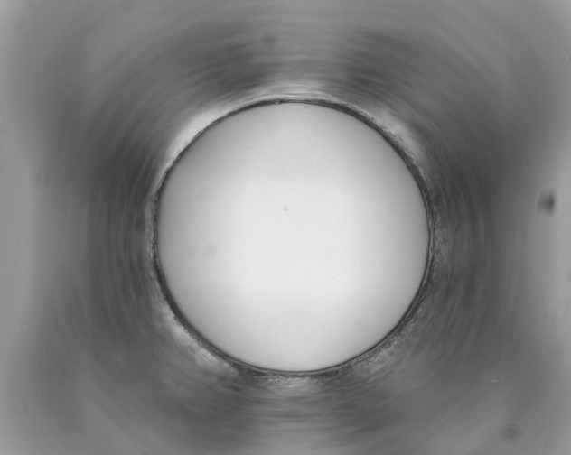 X0000089901382200707262242