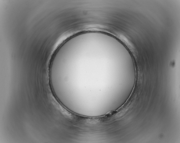 X0000089901384200707262242