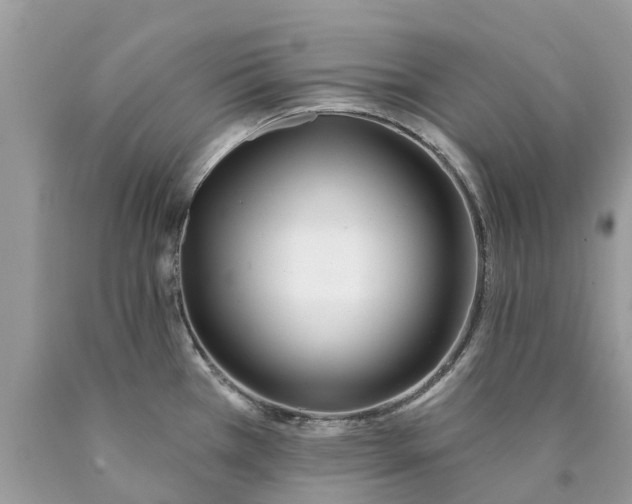 X0000089901385200707262242
