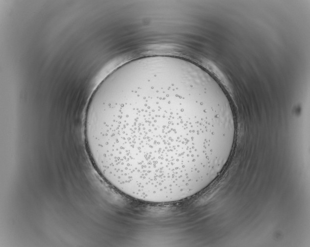 X0000089901386200707262242