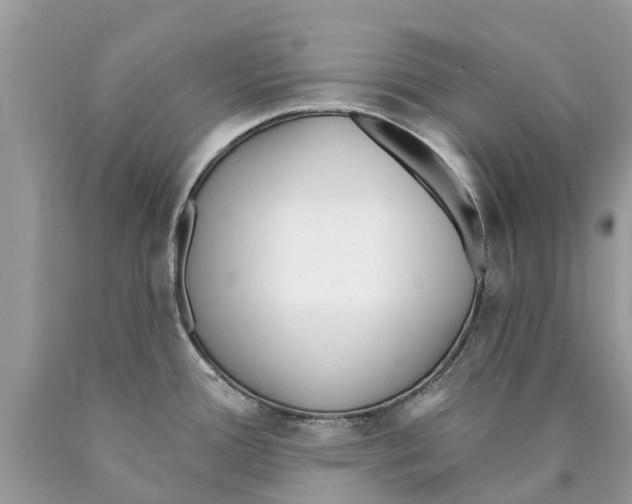X0000089901388200707262242