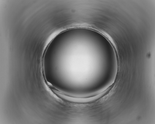 X0000089901389200707262242