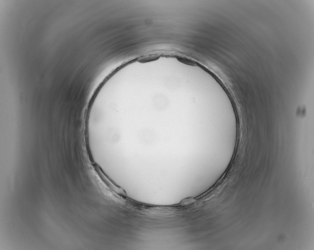 X0000089901392200707262242