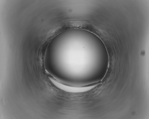 X0000089901394200707262241