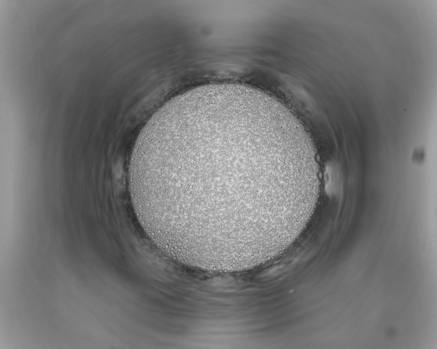 X0000089901395200707262241