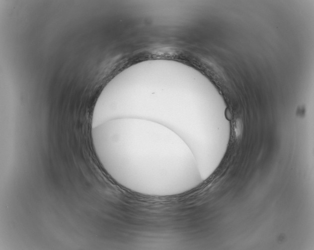 X0000089901396200707262241