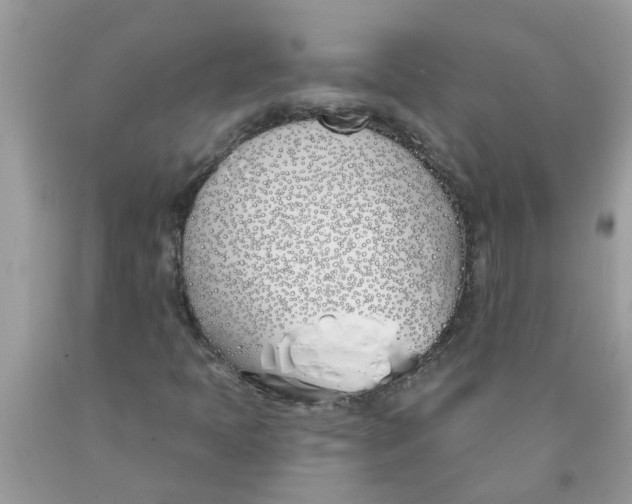 X0000089901397200707262241