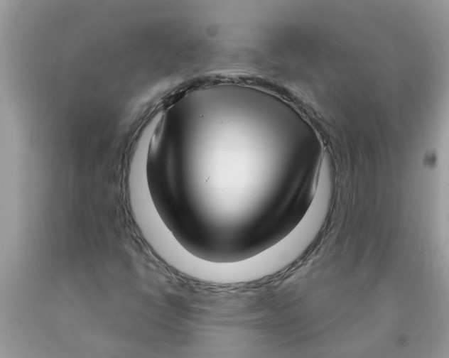 X0000089901398200707262241