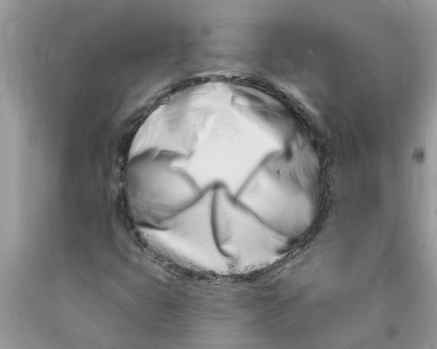 X0000089901399200707262241
