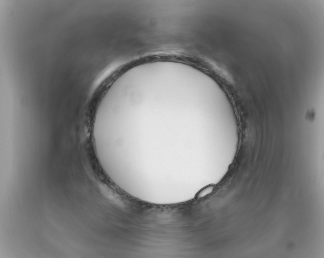 X0000089901400200707262241