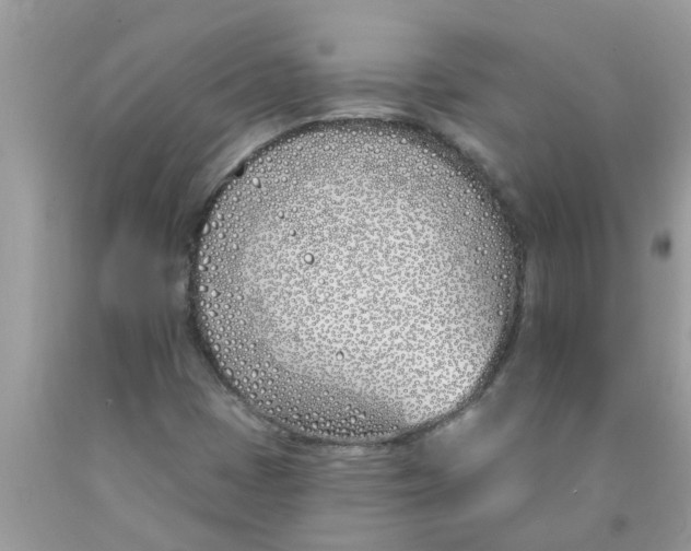 X0000089901401200707262241