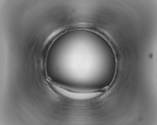 X0000089901402200707262241