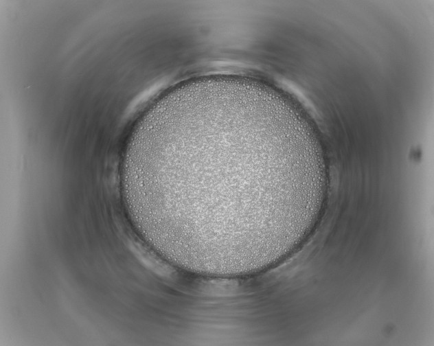 X0000089901403200707262241