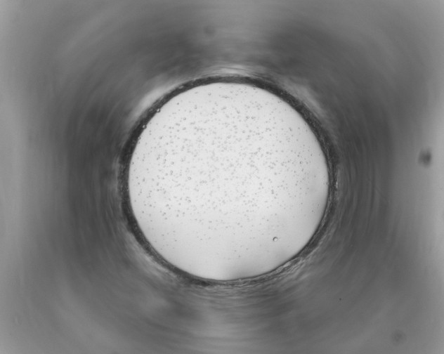 X0000089901404200707262241