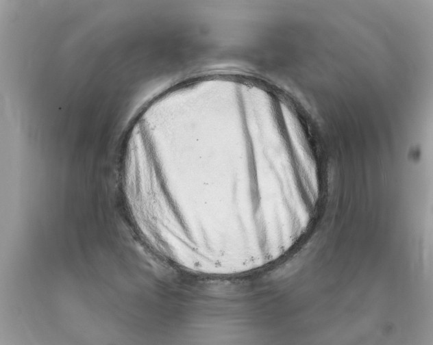X0000089901405200707262241