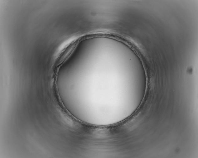 X0000089901406200707262241