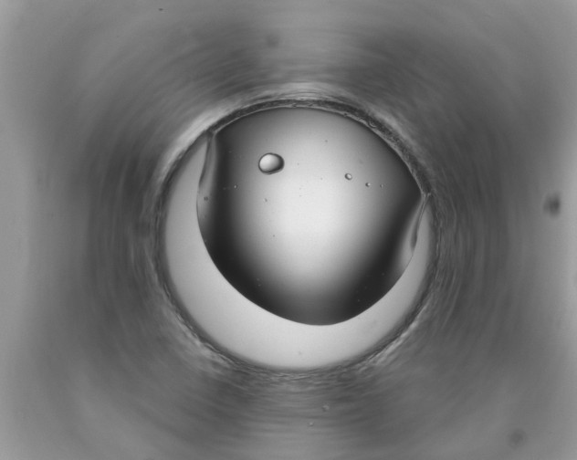 X0000089901410200707262241