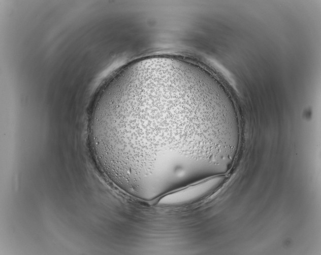 X0000089901411200707262241
