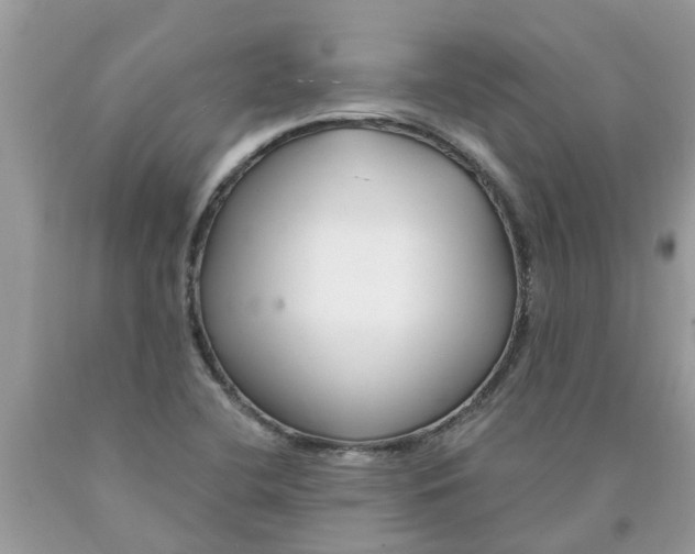 X0000089901412200707262241