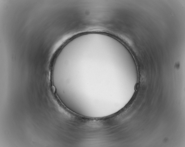 X0000089901414200707262241