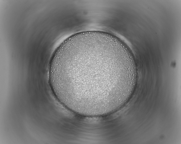 X0000089901415200707262241