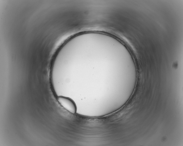 X0000089901416200707262241