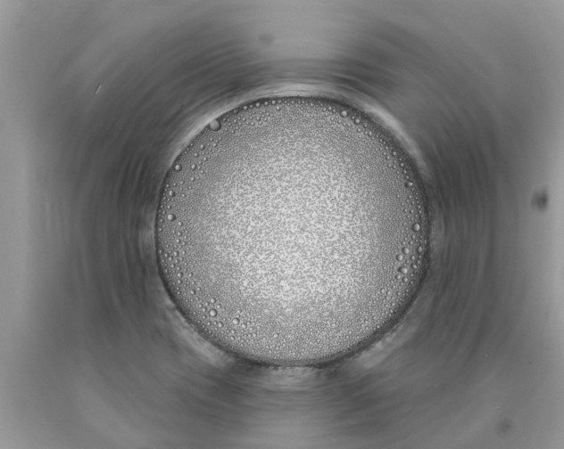 X0000089901417200707262241