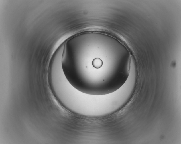 X0000089901418200707262241