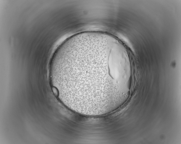X0000089901419200707262241
