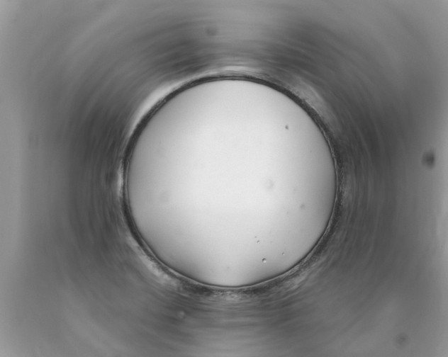 X0000089901420200707262241