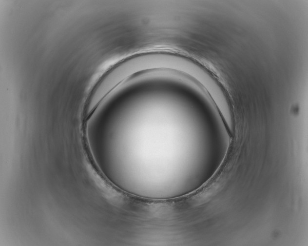 X0000089901422200707262241