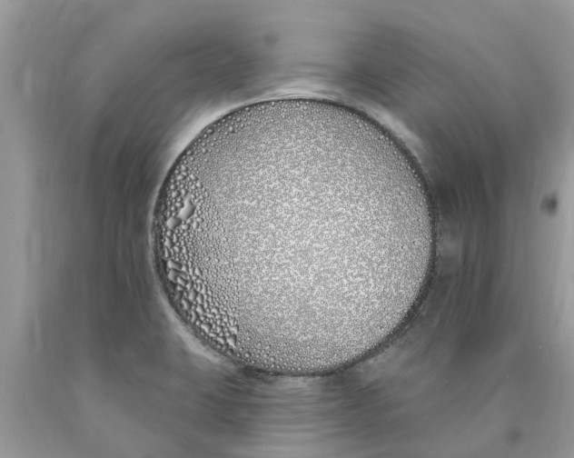 X0000089901423200707262241