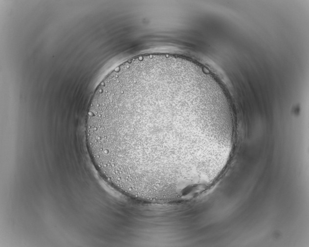 X0000089901425200707262241