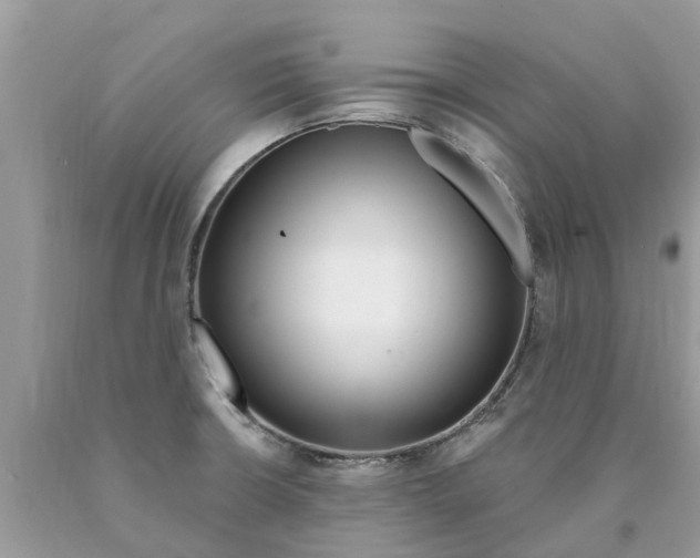 X0000089901426200707262241