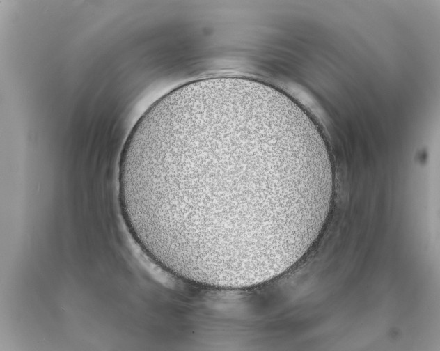X0000089901431200707262241