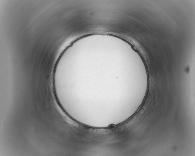 X0000089901432200707262241