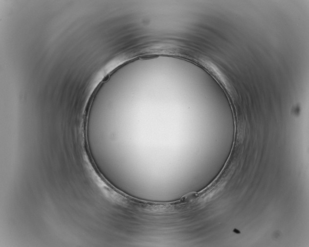 X0000089901434200707262241