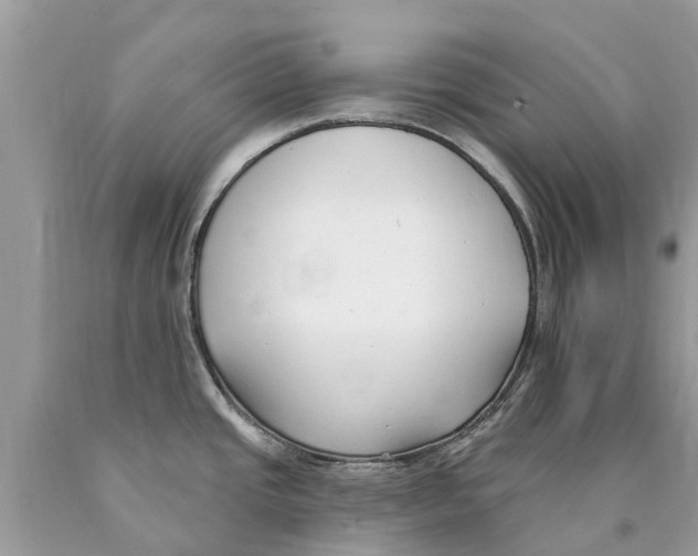 X0000089901437200707262241
