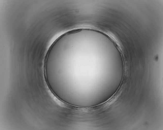 X0000089901438200707262241