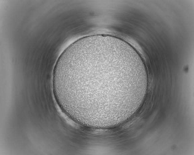 X0000089901439200707262242