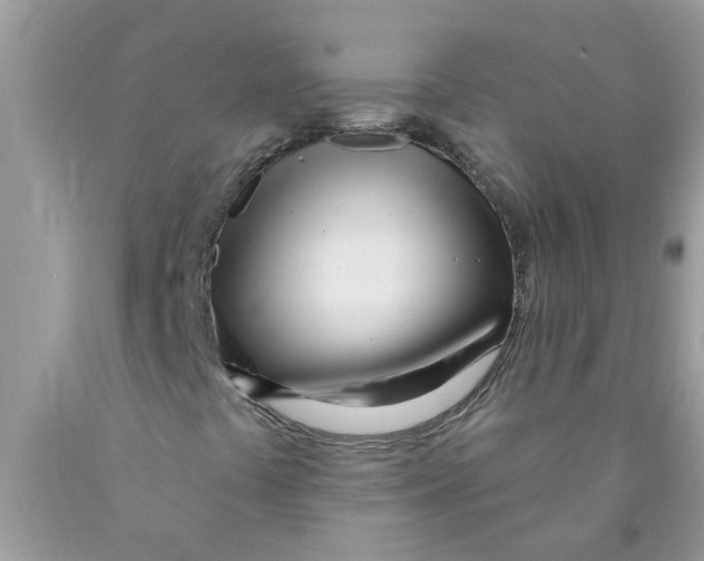 X0000089901441200707262241