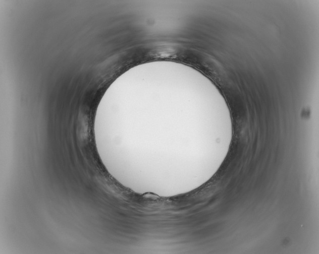 X0000089901442200707262241