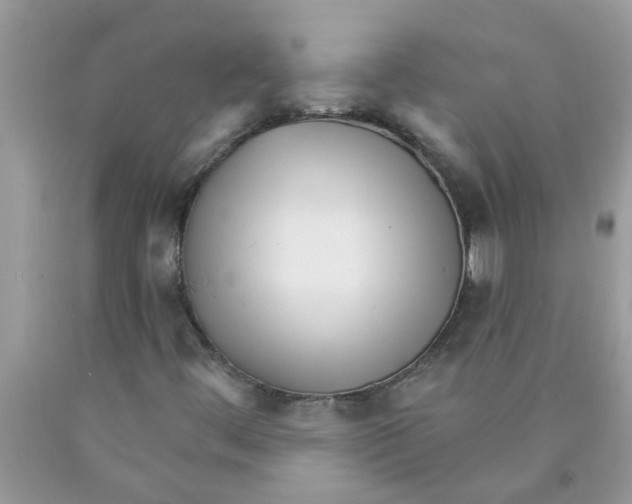 X0000089901444200707262241